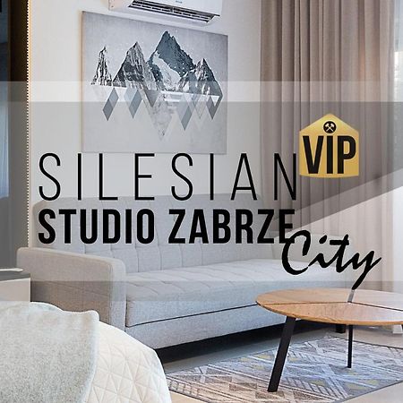 Studio Silesian Vip City Centrum Free Parking Забже Екстер'єр фото
